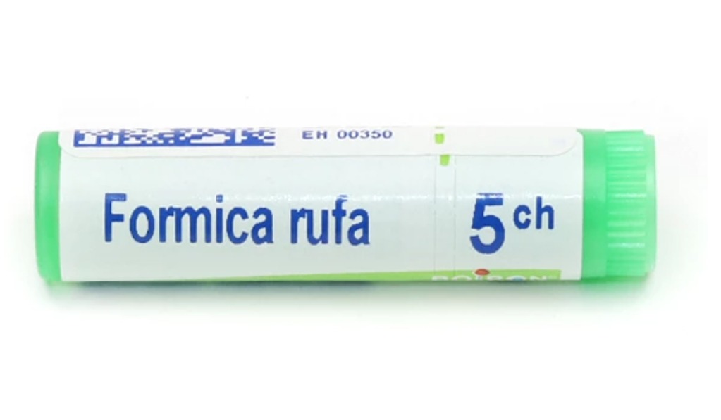 Homéopathie formica rufa