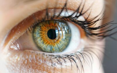 Pupille dilatée : symptôme, causes et traitement à connaître